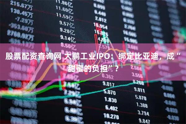 股票配资查询网 大鹏工业IPO：绑定比亚迪，成“甜蜜的负担”？