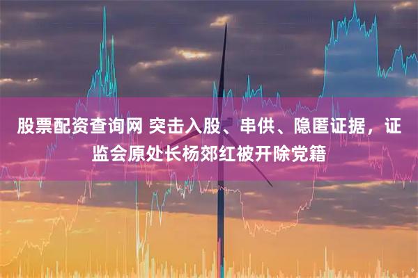 股票配资查询网 突击入股、串供、隐匿证据，证监会原处长杨郊红被开除党籍